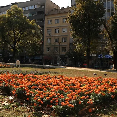 Hajduk Veljko * Belgrade